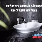 6 Lý Do Sen Vòi Nhật Bản Được Khách Hàng Yêu Thích