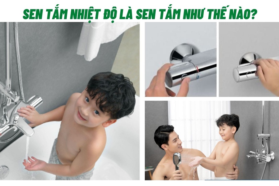 Sen tắm nhiệt độ là sen tắm như thế nào?
