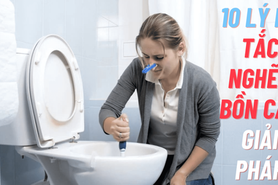 Nguyên Nhân Tắc Nghẽn Bồn Cầu: 10 Lý Do Thường Gặp | Giải pháp