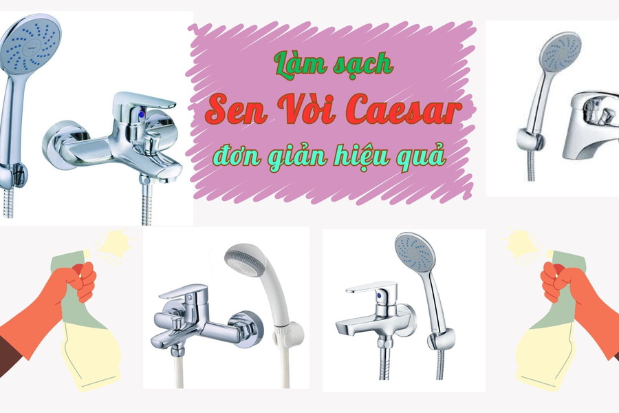 Tuyệt Chiêu Tự Làm Sạch Sen Vòi Caesar Hiệu Quả Và Đơn Giản