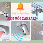 5 Lý Do Sen Vòi Caesar Là Lựa Chọn Hoàn Hảo Cho Phòng Tắm 