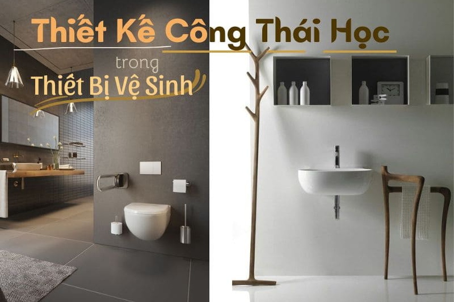 Thiết Kế Ergonomic Trong Thiết Bị Vệ Sinh: Tiện Nghi Và Thoải Mái