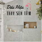 Đổi Mới Sen Tắm: Khi Nào Và Tại Sao? Những Dấu Hiệu Cần Lưu Ý