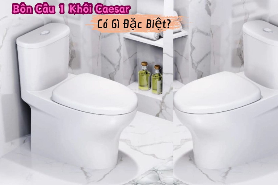 Bồn Cầu 1 Khối Caesar Có Gì Đặc Biệt? Bạn Không Nên Bỏ Qua