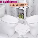 Bồn Cầu 1 Khối Caesar Có Gì Đặc Biệt? Bạn Không Nên Bỏ Qua