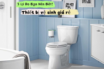 Có Nên Chọn Thiết Bị Nhà Vệ Sinh Giá Rẻ? 5 Lý Do Bạn Nên Biết!