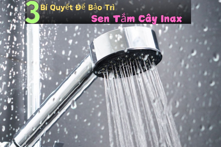 3 Bí Quyết Để Bảo Trì Sen Tắm Cây Inax Kéo Dài Tuổi Thọ