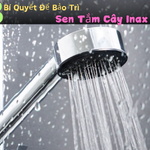 3 Bí Quyết Để Bảo Trì Sen Tắm Cây Inax Kéo Dài Tuổi Thọ