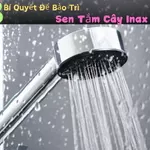 3 Bí Quyết Để Bảo Trì Sen Tắm Cây Inax Kéo Dài Tuổi Thọ