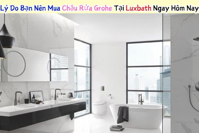 4 Lý Do Bạn Nên Mua Chậu Rửa Grohe Tại Luxbath Ngay Hôm Nay
