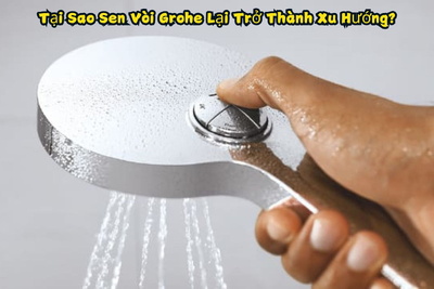 Tại Sao Sen Vòi Grohe Lại Trở Thành Xu Hướng?