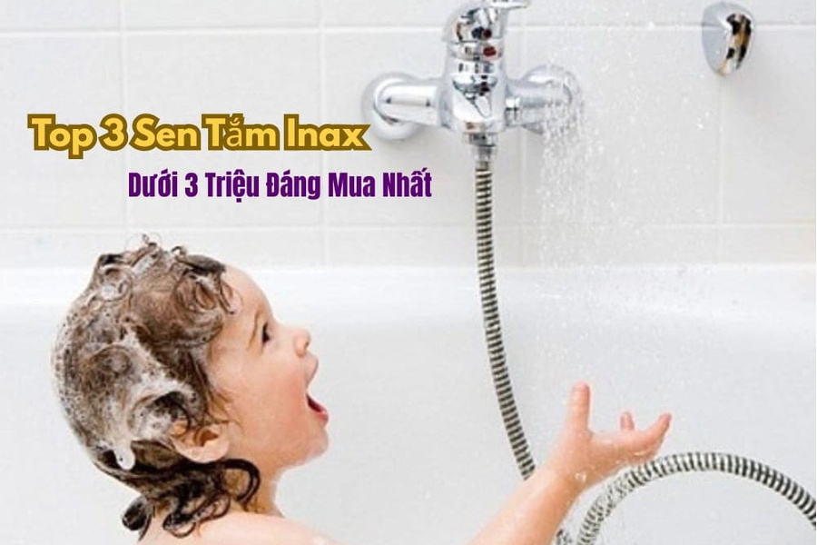Top 3 sen tắm Inax dưới 3 triệu đáng mua nhất năm nay