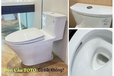 Bồn Cầu TOTO Có Đắt Không? Phân Tích Giá Và Giá Trị Thực Tế