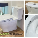 Bồn Cầu TOTO Có Đắt Không? Phân Tích Giá Và Giá Trị Thực Tế