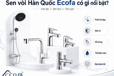 Sen vòi Hàn Quốc Ecofa có gì nổi bật?