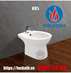 Bồn tiểu nữ Viglacera VB5