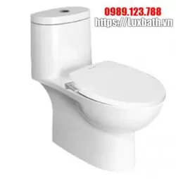 Bàn cầu hai khối nắp cơ American Standard VF-2024S3