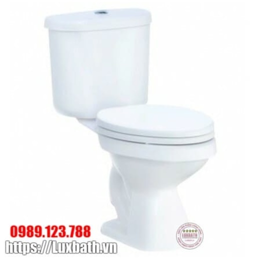 Bàn Cầu 2 Khối Nắp Đóng Êm COTTO C13961 Wendy Xả Nhấn