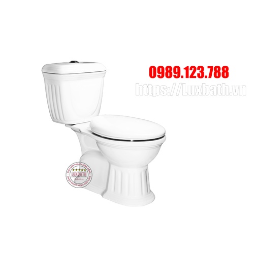 Bàn Cầu 2 Khối Xả Nhấn Nắp Thường Hảo Cảnh HC V07