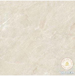 Gạch lát nền granite Viglacera 60x60 Eco S622