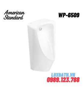 Tiểu nam treo tường American Standard WP-6509B (xả âm)