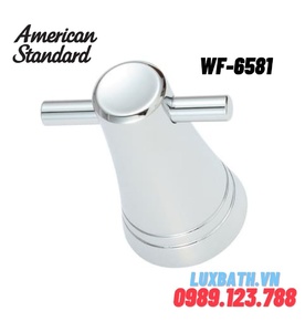 Móc áo đôi American Standard WF-6581