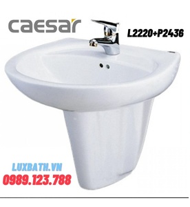 Chậu Rửa Lavabo Chân Lửng Caesar L2220/P2436