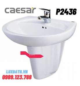 Chân Lửng Chậu Rửa Mặt Caesar P2436 (Bỏ mẫu)