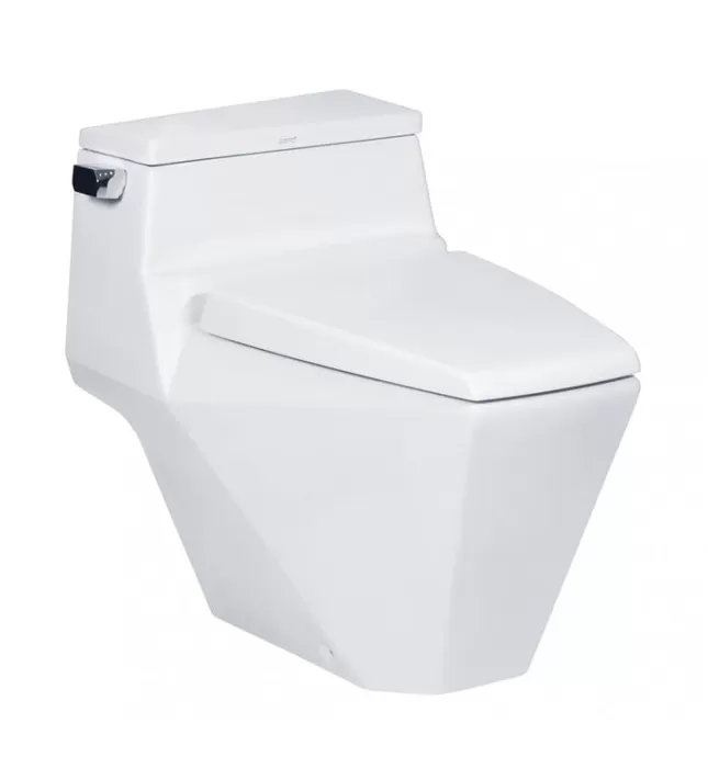 Bàn Cầu 1 Khối Nắp Êm COTTO C10077