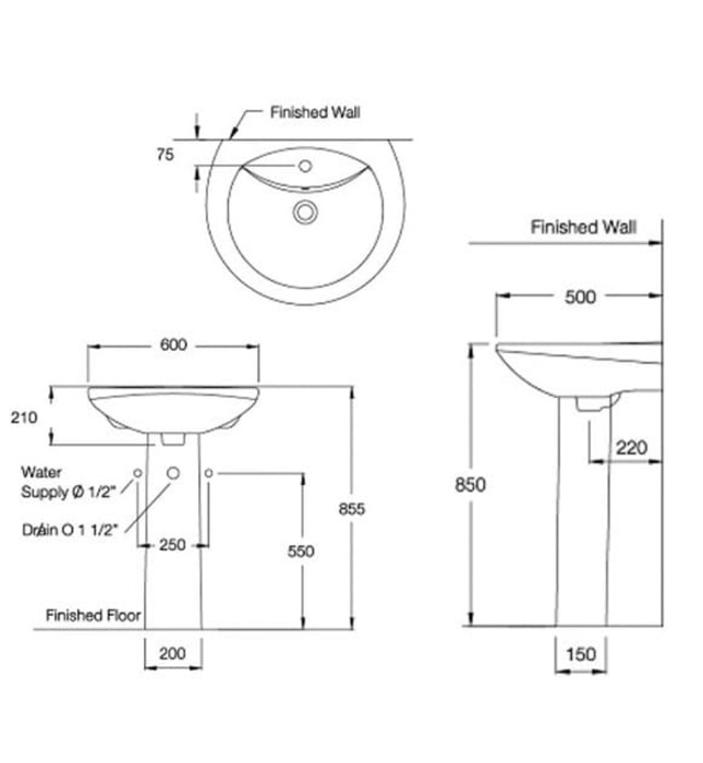 Chậu rửa Lavabo COTTO C0107/C411 chân dài