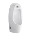 Bồn tiểu nam cảm ứng đặt sàn COTTO C31237DC