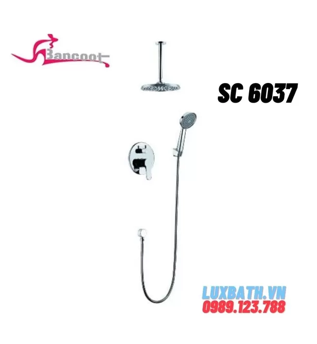 Sen Tắm Âm Tường Bancoot SC 6037