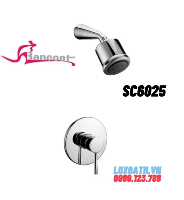 Sen Tắm Âm Tường Bancoot SC 6025