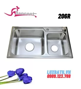 Chậu rửa bát Inox 304 2 hố lệch Bancoot 206R 