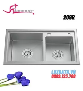 Chậu rửa bát Inox 304 2 hố lệch Bancoot 209R
