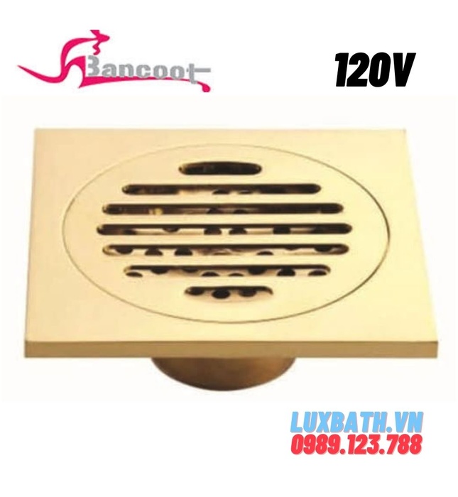 Ga thoát sàn đồng mạ vàng Bancoot 120V