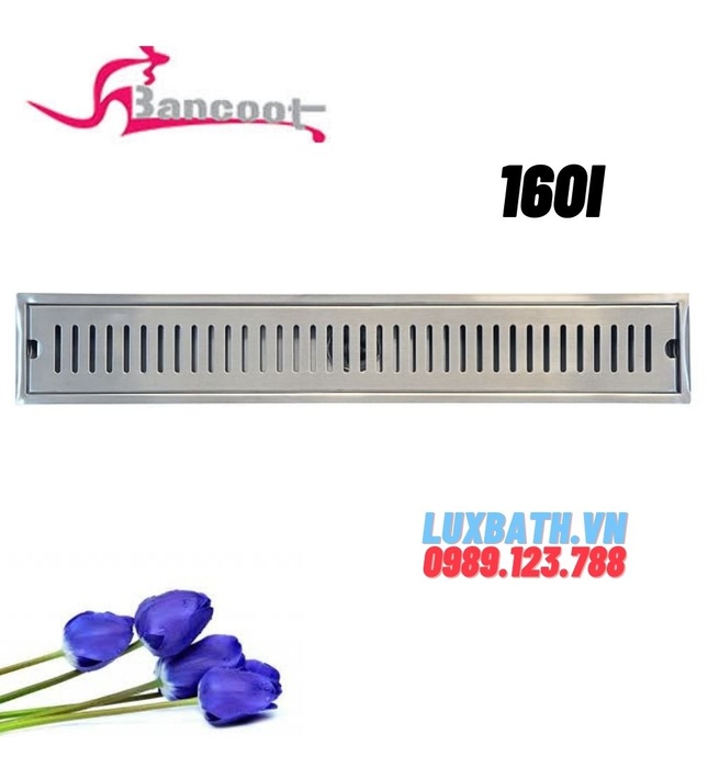 Ga thoát sàn inox 304 Bancoot 160i