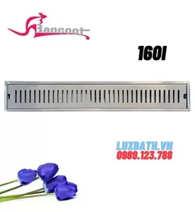 Ga Thoát Sàn Inox SUS304 Bancoot 160i