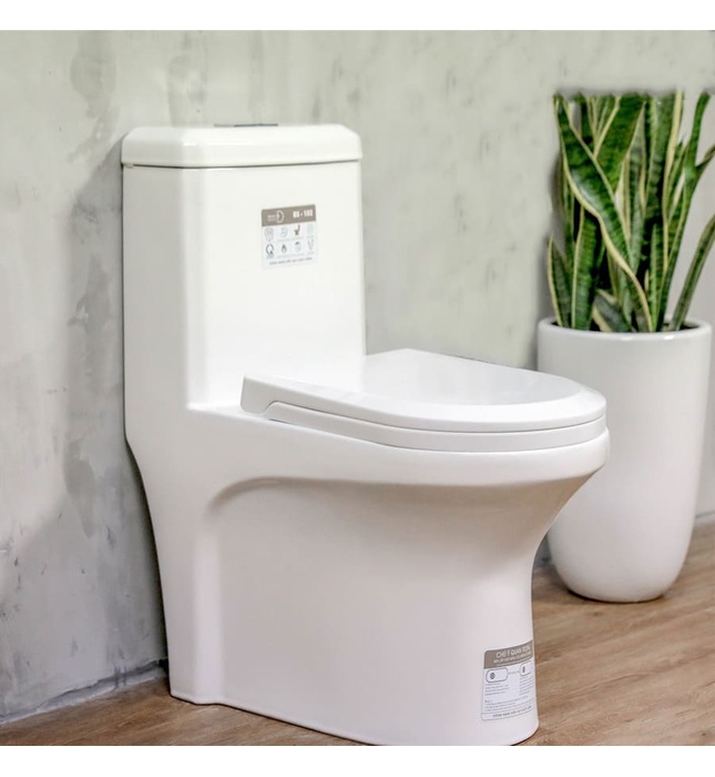 Bồn cầu 1 khối nắp rơi êm Basic BS-102