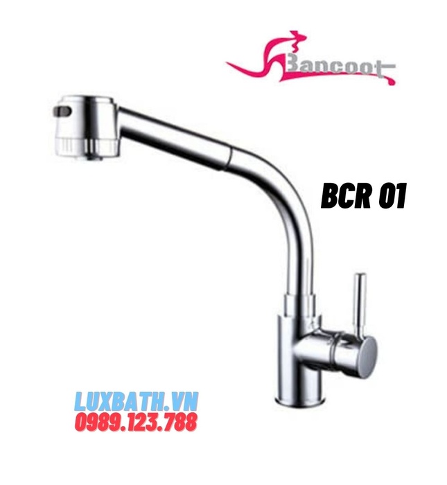 Vòi bếp nóng lạnh dây rút Bancoot BCR 01