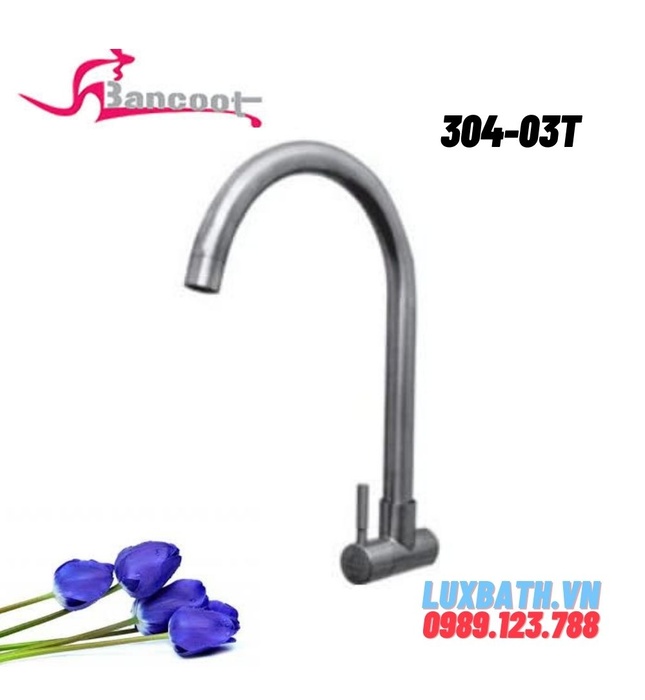 Vòi bếp lạnh cần cứng Bancoot 304-03T