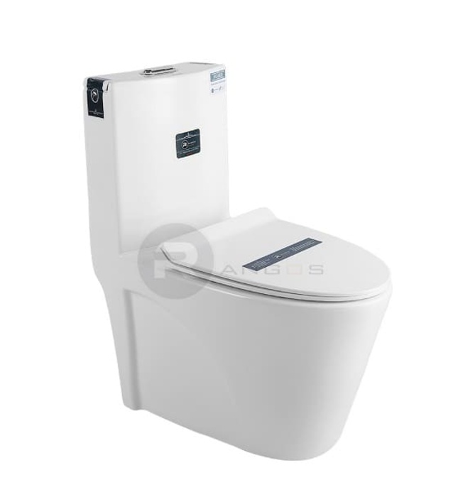 Bàn cầu 1 khối nắp rơi êm Rangos RG-8029