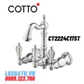 Củ sen tắm gắn tường COTTO CT2224C17ST 