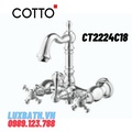 Vòi rửa mặt lavabo nóng lạnh COTTO CT2224C18 