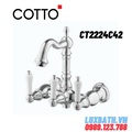 Củ sen tắm gắn tường COTTO CT2224C42