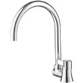 Vòi rửa bát lạnh gắn chậu COTTO CT1094C33(HM)
