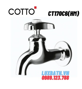 Vòi nước gắn tường COTTO CT170C6(HM)