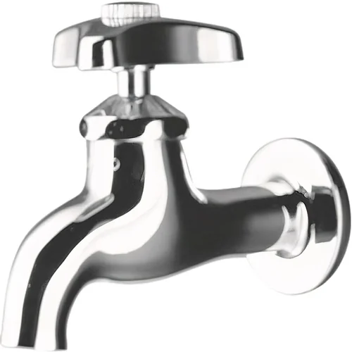 Vòi nước gắn tường COTTO CT170C6(HM)