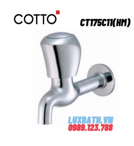Vòi nước gắn tường COTTO CT175C11(HM)