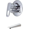 Sen tắm âm tường COTTO CT393N